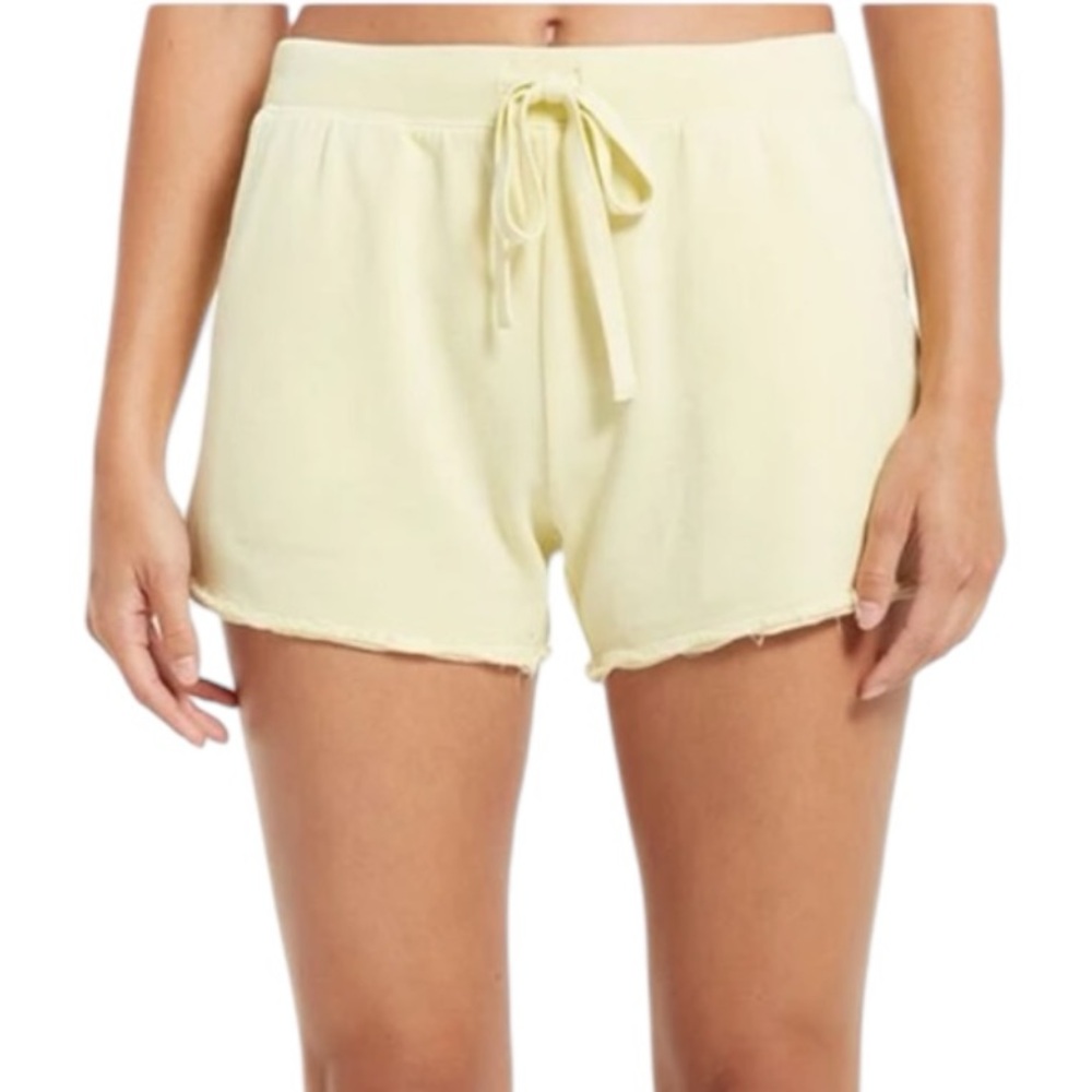 Z Supply Marina Washed Shorts in Key‎ Lime Large